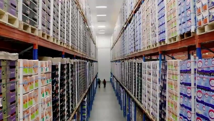Cold-store warehouse racking with palletised goods